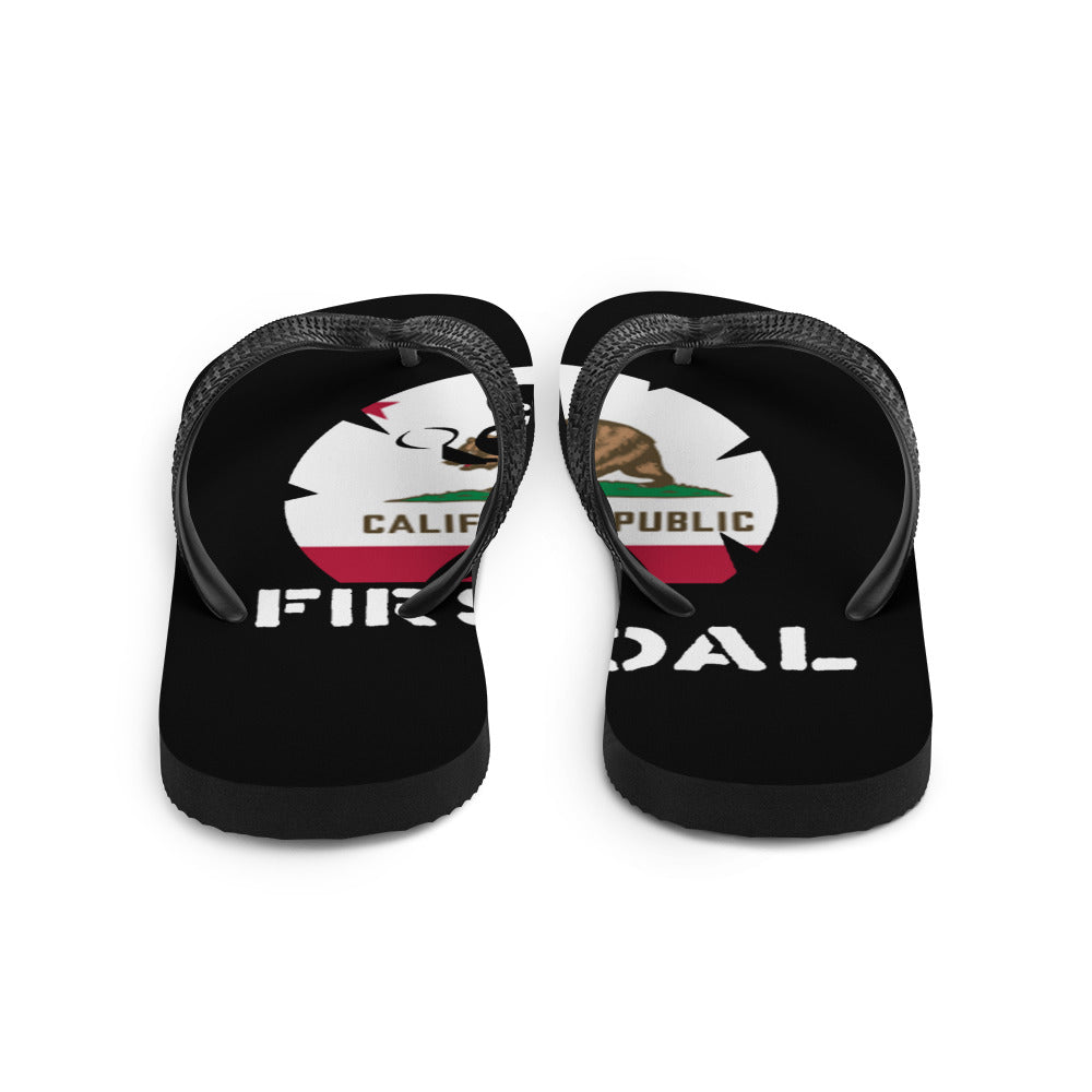 Flip-Flops
