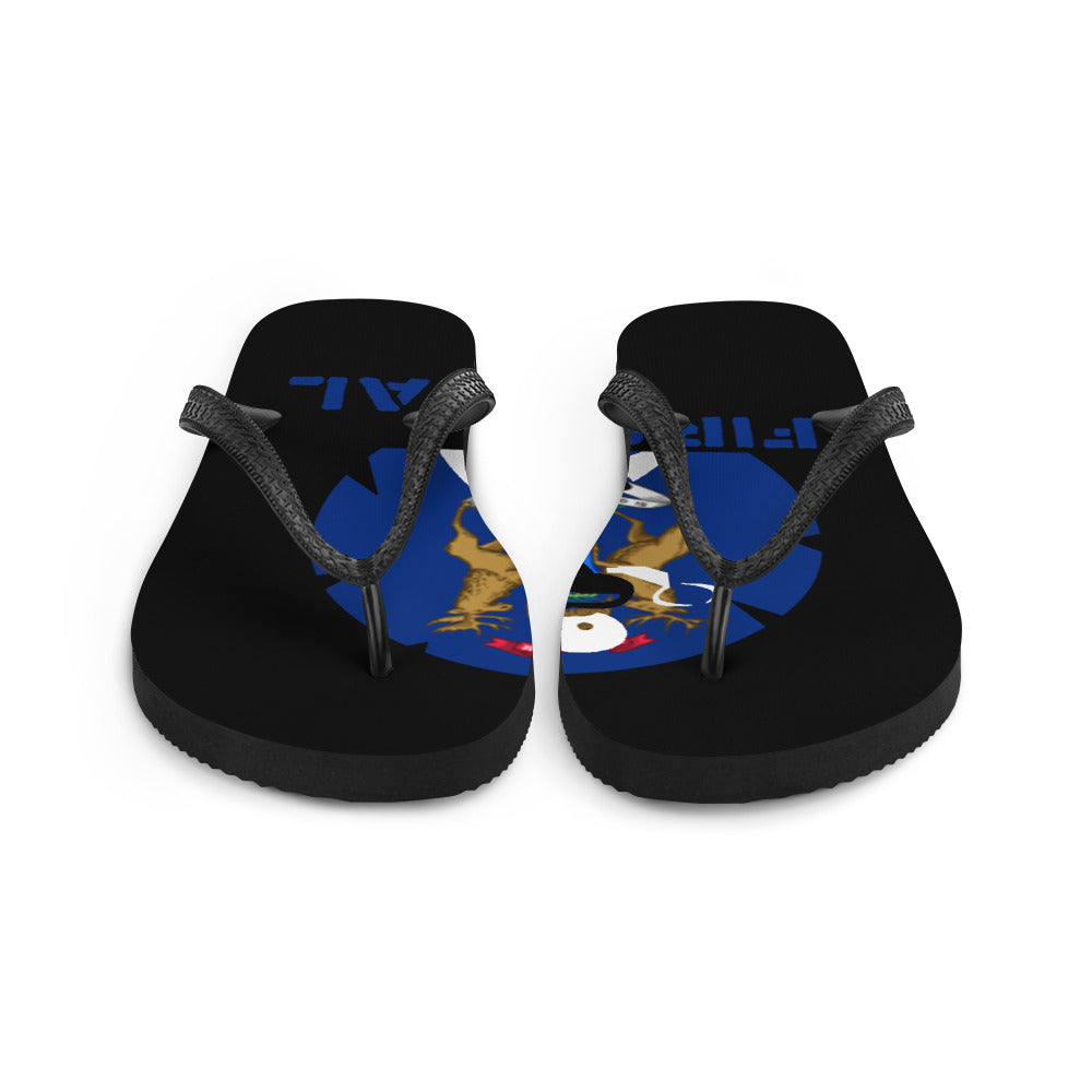 Flip-Flops