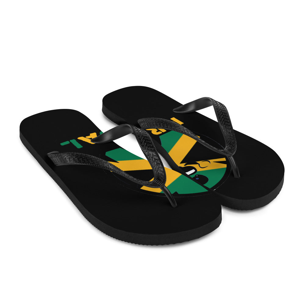 Flip-Flops