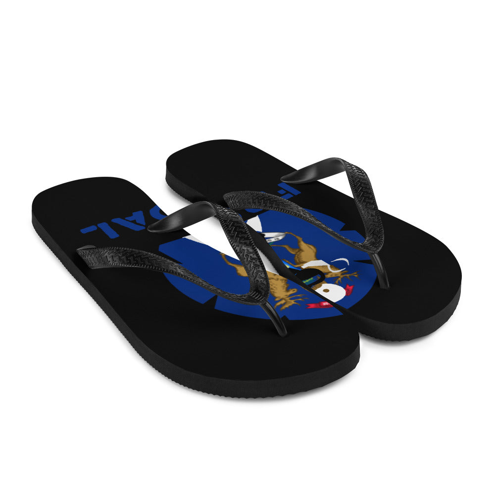 Flip-Flops