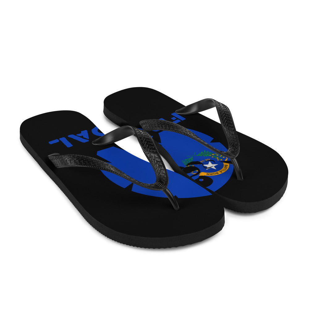 Flip-Flops
