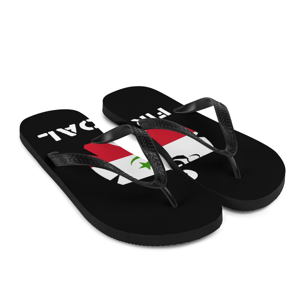 Flip-Flops
