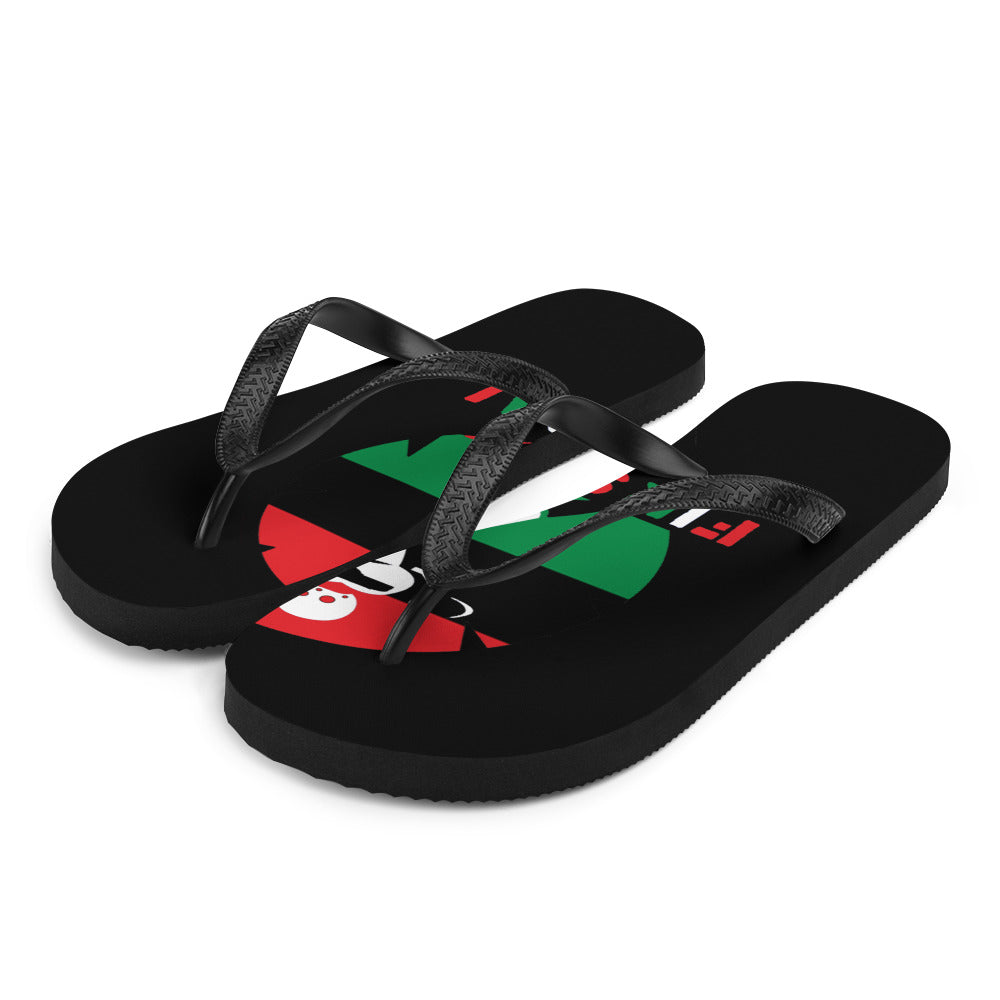 Flip-Flops