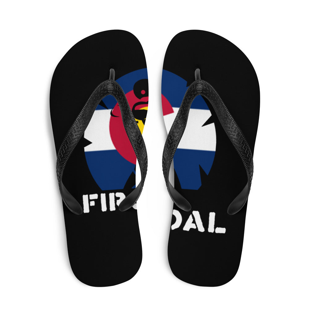 Flip-Flops