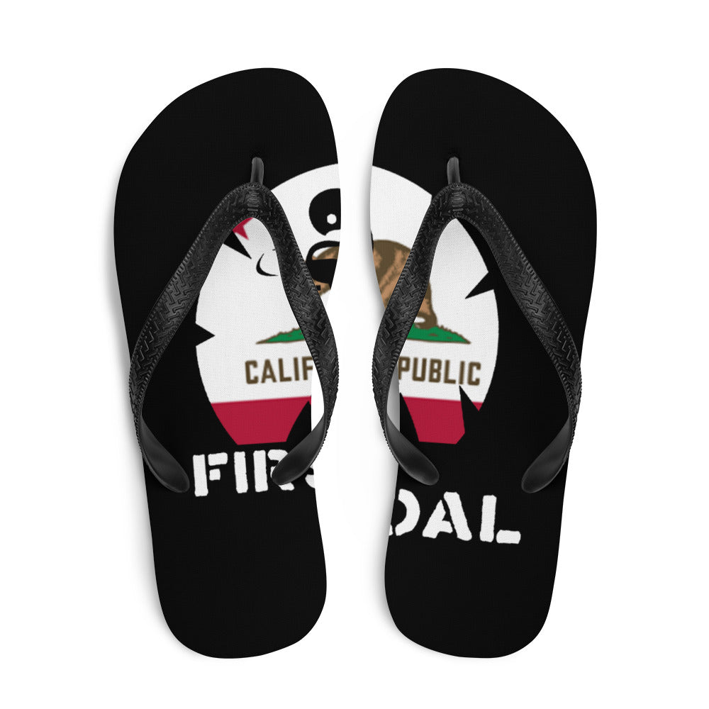 Flip-Flops