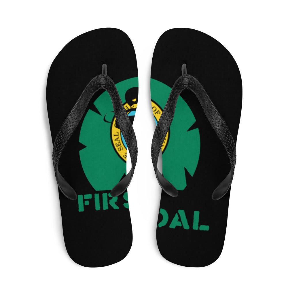 Flip-Flops